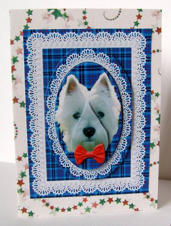 West Highland Terrier Blue Tartan Lace & Pearls White Westie by Margaret McCartney