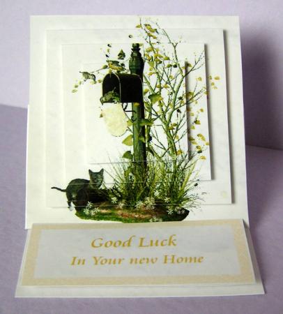 The Cat & Mail New Home by Margaret McCartney