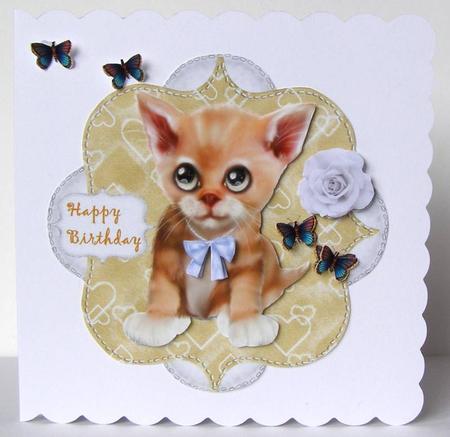 Cute Kitten by Margaret McCartney