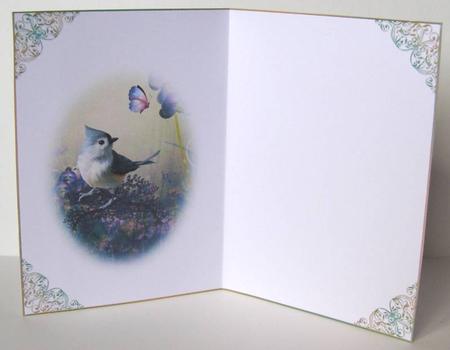 Morning Dew Blank Insert by Margaret McCartney