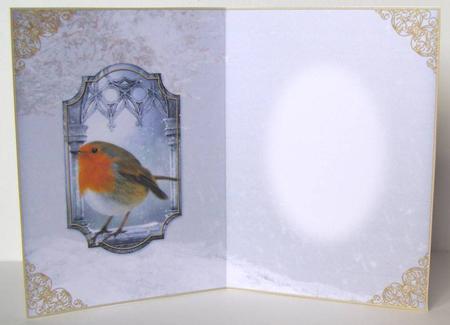 Little Robin Red Breast Blank Insert by Margaret McCartney