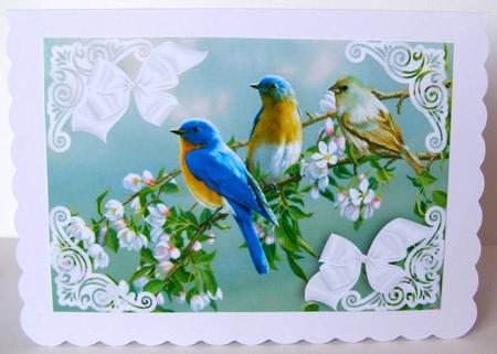 Birds Sitting on a Branch of Pink Blossoms A4 by Margaret McCartney