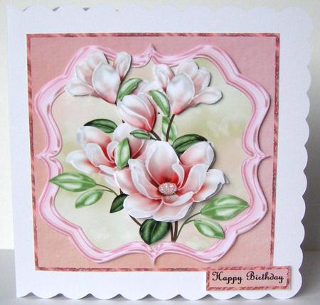 Pink Magnolia Beauty by Margaret McCartney