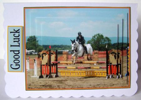 Showjumping by Margaret McCartney