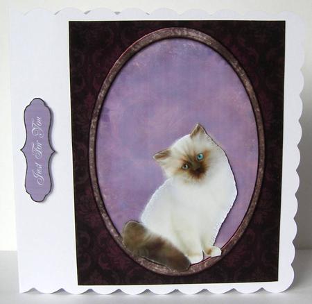 Sweet Ragdoll Kitten Card Topper by Margaret McCartney