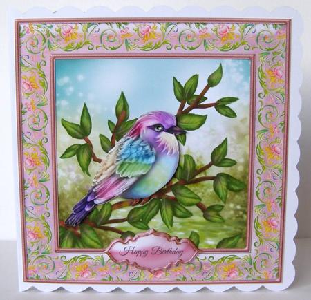 Rainbow Bird by Margaret McCartney