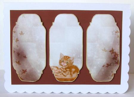 Beautiful Little Kitten Card Topper by Margaret McCartney