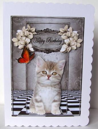 Cute Kitten Birthday Card by Margaret McCartney