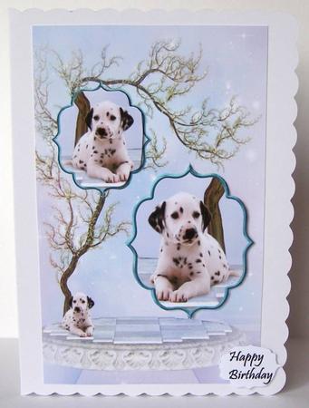 Puppy Love by Margaret McCartney