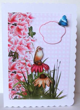 Cornflower Card Front by Margaret McCartney