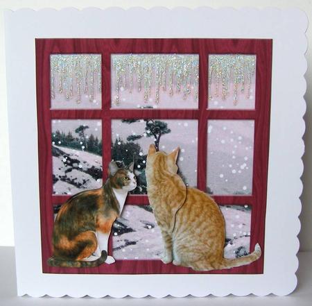 Cats at Winter Window by Margaret McCartney