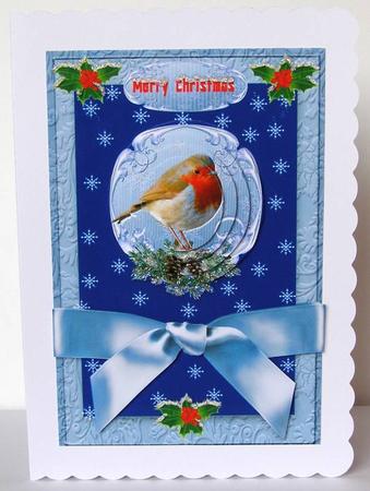 Robin Red Breast by Margaret McCartney
