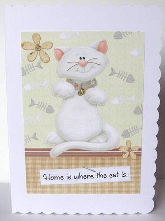 Lovely White Cat A4 by Margaret McCartney