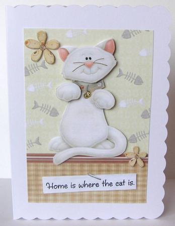 Lovely White Cat by Margaret McCartney
