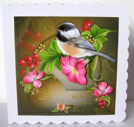 A Little Bird by Margaret McCartney