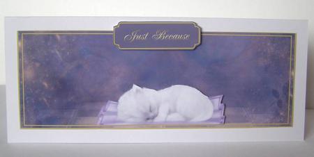 Gorgeous Sleeping Kitten Card Topper by Margaret McCartney