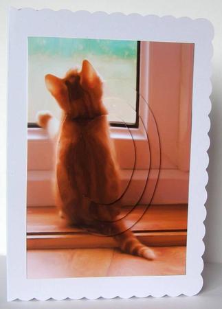 Cat at Window Oval Pyramid by Margaret McCartney