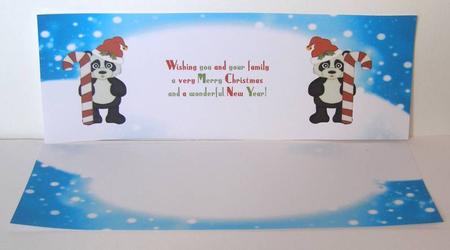 Two Christmas Inserts to Match the Panda and Penguin Long Dl by Margaret McCartney
