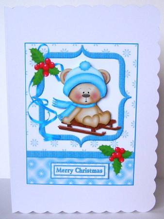 Teddy Goes Sledging by Margaret McCartney