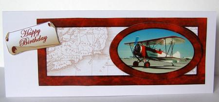 Red Biplane Dl with Oval Shape by Margaret McCartney