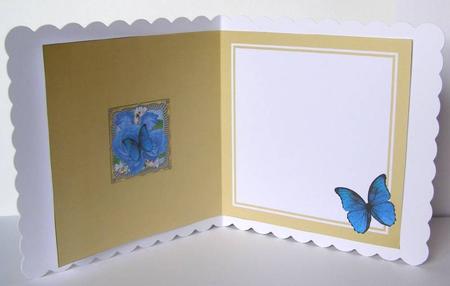 Butterfly & Roses Round Edged Shaped Matching Insert by Margaret McCartney