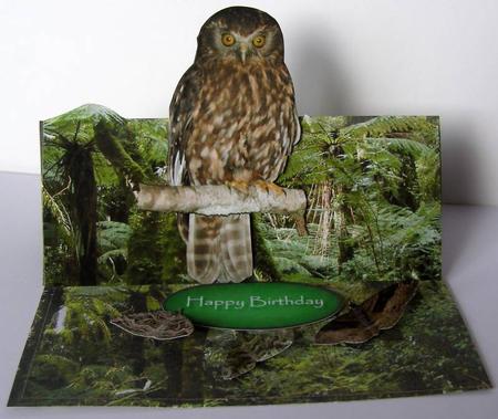 Boobook Owl Easel Card Kit by Margaret McCartney