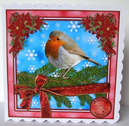 Red Robin by Margaret McCartney
