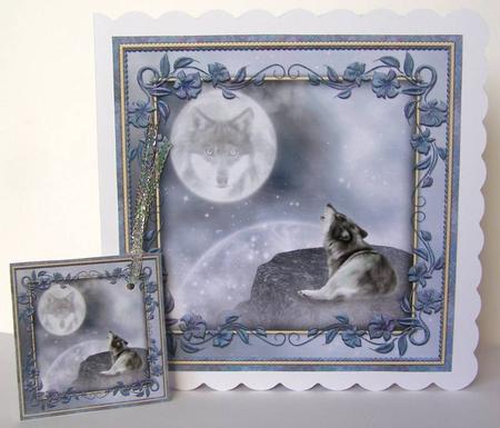The Lone Wolf by Margaret McCartney