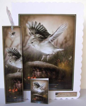The Watcher by Margaret McCartney