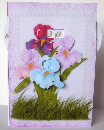 Iris Fantasy - Year Card by Margaret McCartney
