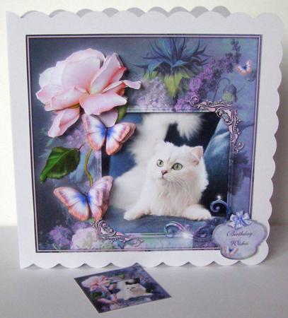 Fascination by Margaret McCartney