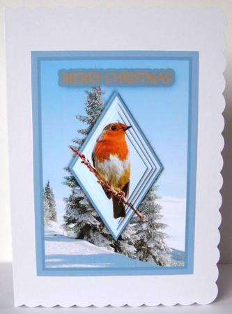 Robin Redbreast by Margaret McCartney