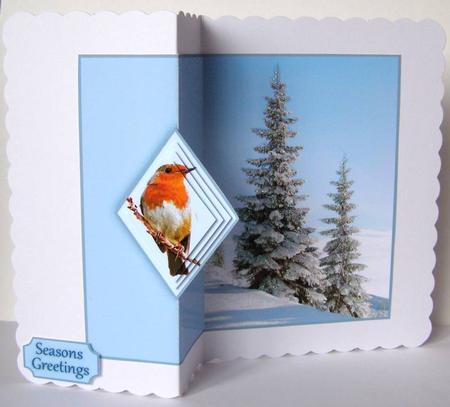 Robin Redbreast by Margaret McCartney