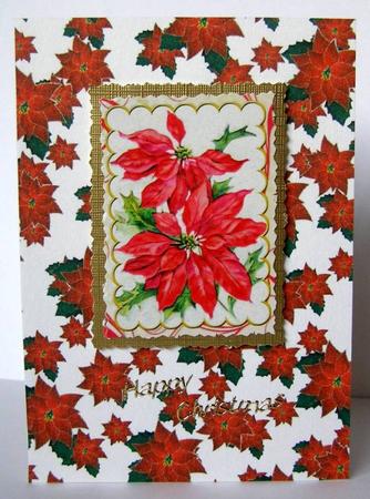 Christmas Poinsettias - White by Margaret McCartney