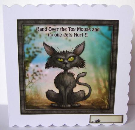 Bad Kitty by Margaret McCartney