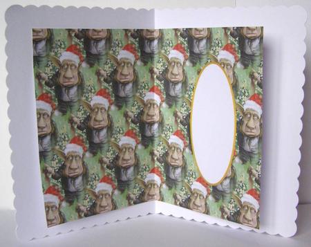 Bah Humbug Insert by Margaret McCartney