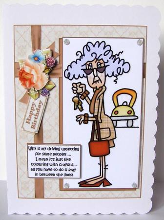 Stella and Her Driving Quick Card by Margaret McCartney