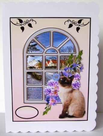 Sitting at the Window by Margaret McCartney