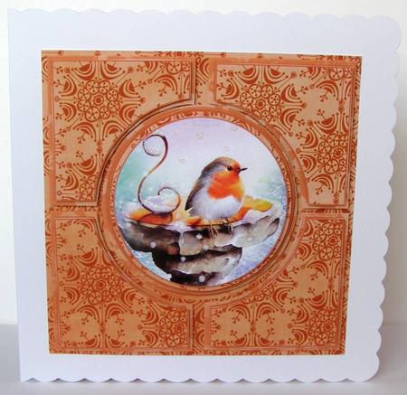 Blue Robin Borange Architects Quad 8in Cf Kit by Margaret McCartney