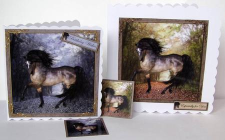 Simply Horses by Margaret McCartney