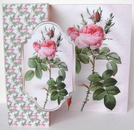 Pink Rose Fold Back Card by Margaret McCartney