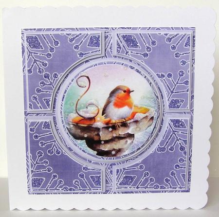 Blue Robin Architects Quad 8in Cf Kit by Margaret McCartney
