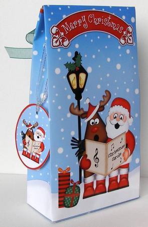 3D Xmas Carol Singing Santa & Rudolph Gift Box Mini Kit by Margaret McCartney