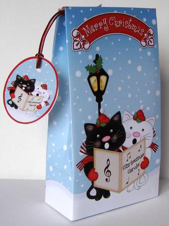 3D Xmas Carol Singing Cats Gift Box Mini Kit by Margaret McCartney