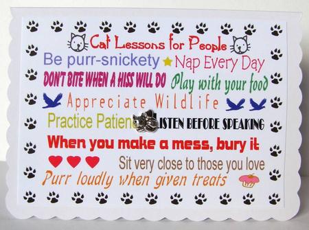 Cat Lessons for People - Text Art by Margaret McCartney