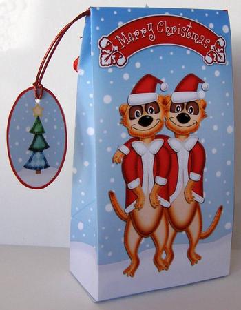 3D Xmas Meerkats Gift Box Mini Kit by Margaret McCartney