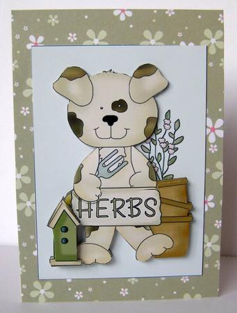 Garden Bear Herbs by Margaret McCartney