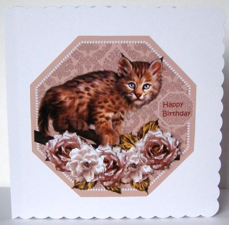 Octagon Little Bob by Margaret McCartney