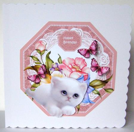Octagon Kitty by Margaret McCartney