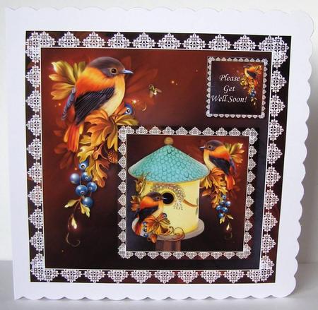 8 x 8 Autumn Glory Bird House Card Topper + Ass. Greetings by Margaret McCartney